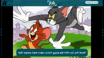 اضبط الآن تردد قناة توم وجيري الجديد بجودة صوت وصورة نقية